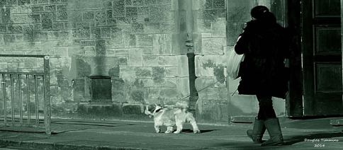 Just walkin' the dog ....Glasgow today