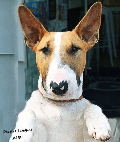 Straight out of Oliver Twist ...Glasgow