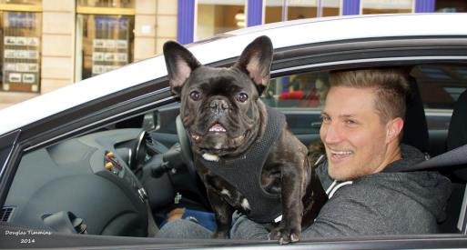 Stranger in car today wants to give me a friendly bite. Glasgow