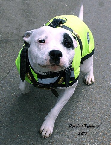 Trixiebelle tries to lick me to death. Glasgow today.
