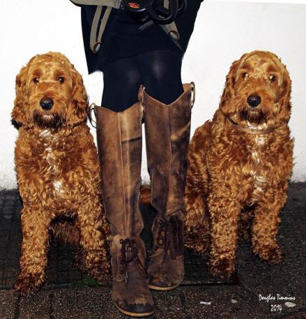 Two for the price of two to feed. Glasgow today